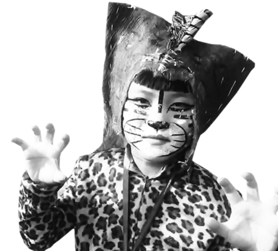 雙柏彝族虎文化節(jié) 跳起世界古老圖騰舞 雙柏彝族虎文化節(jié) 跳起世界古老圖騰舞