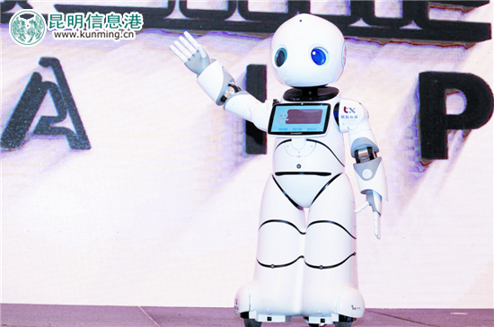 五華區(qū)推介機(jī)器人。記者李海曦/攝