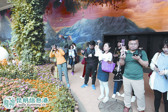 “春天在哪里·昆明告訴你”活動火熱進行 全國媒體直播“昆明春天”