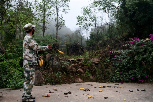 20181106163720DI68NT