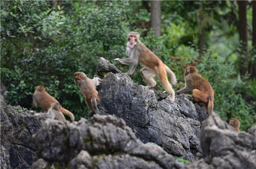 20181106163720NM5M4A