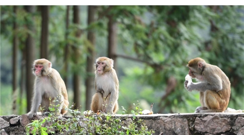 20181106163723MBFPO7