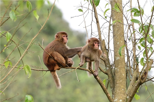 201811061637229B037J