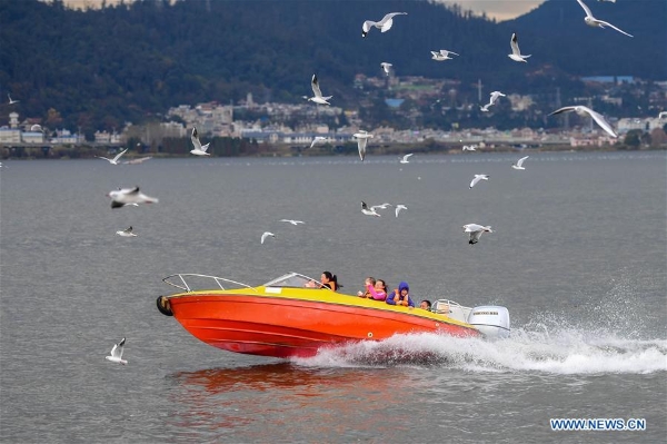 137713427_15463860836821n 137713427_15463860836821n