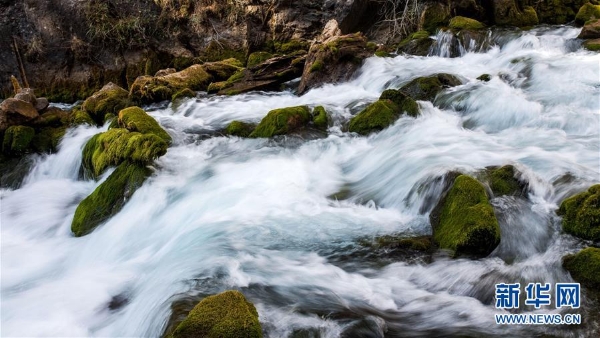 1124250770_15529512617591n