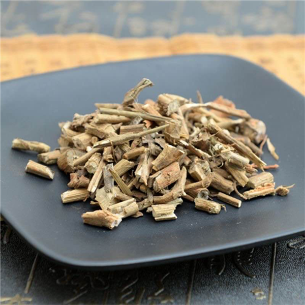 Agastache rugosus Agastache rugosus