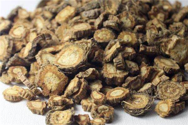 Divaricate saposhniovia root Divaricate saposhniovia root