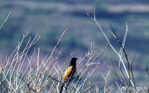 504934_670x670 504934_670x670