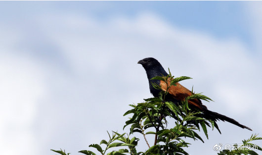 504936_670x670 504936_670x670