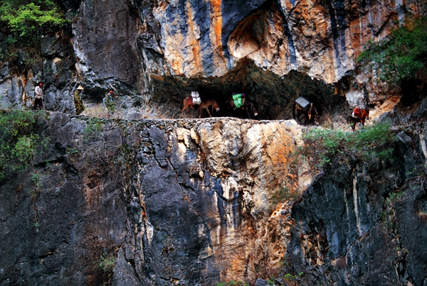 5f178fafa3108348fcdf325d 5f178fafa3108348fcdf325d