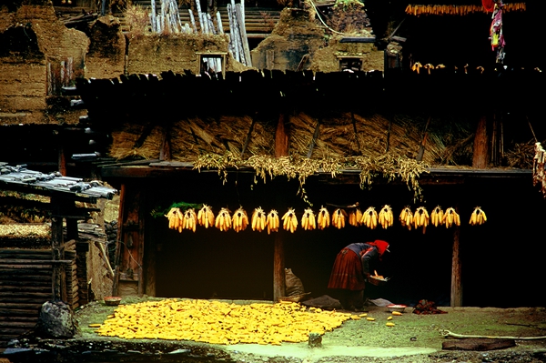 5f178fafa3108348fcdf3263 5f178fafa3108348fcdf3263