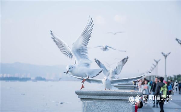 5f21441da3108348fce11ee3 5f21441da3108348fce11ee3