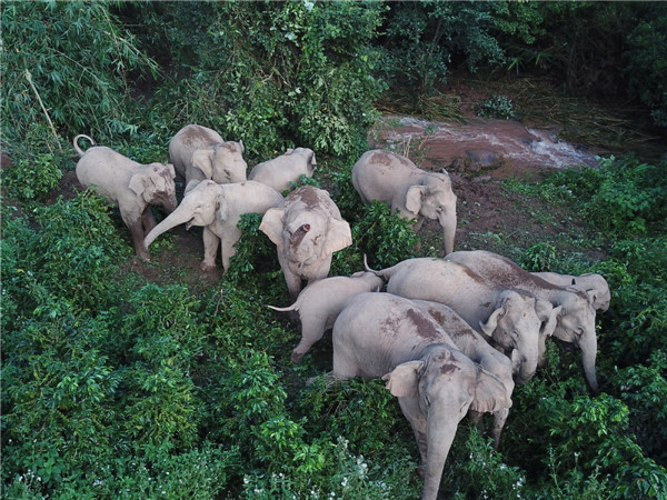 5f2ba7c9a3108348fce2ed65