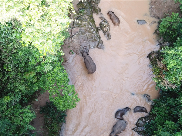 5f2ba7c9a3108348fce2ed6c