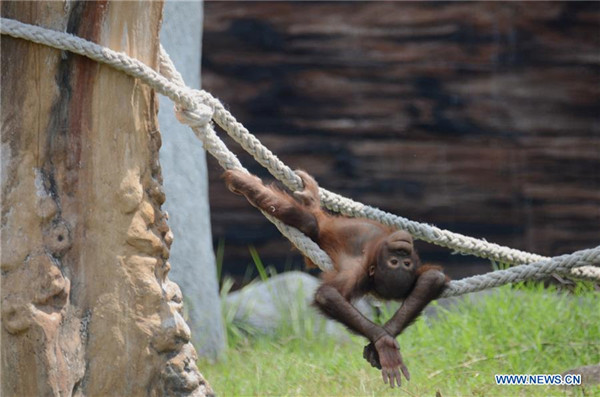 139304519_15979004557541n_副本