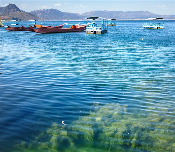 5f5edfaaa310f55b18db533d 5f5edfaaa310f55b18db533d