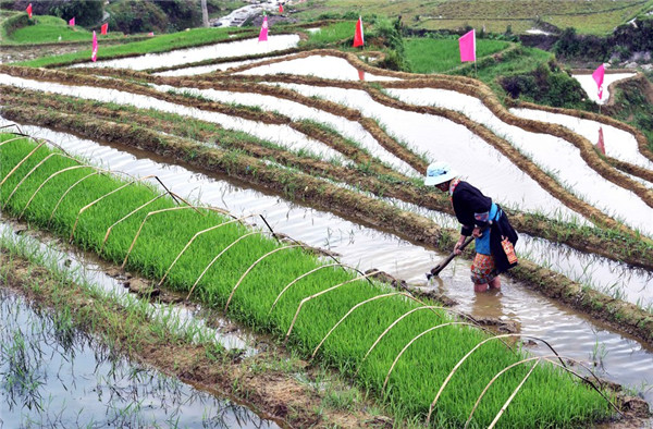 139457022_16032864398591n_副本 139457022_16032864398591n_副本