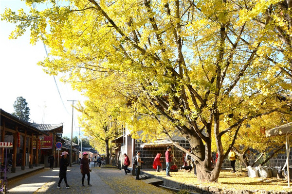 139459599_16033713450641n_副本