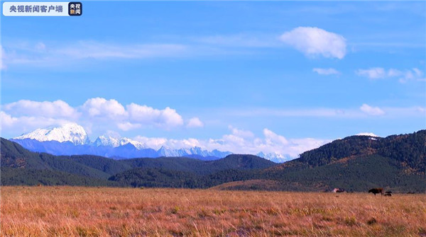 708610_670x670 708610_670x670