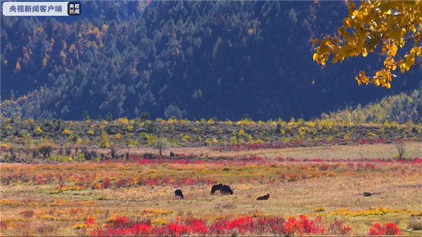 708613_670x670 708613_670x670