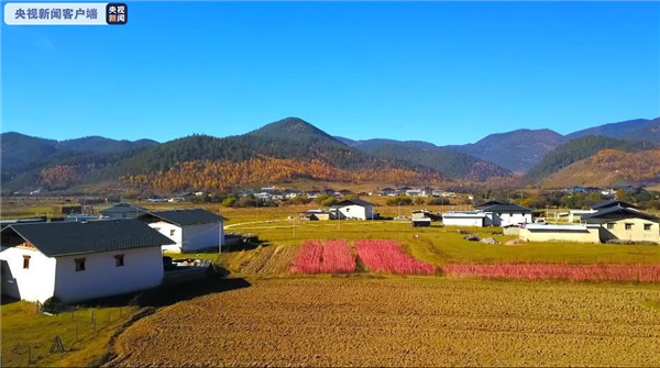 708615_670x670 708615_670x670