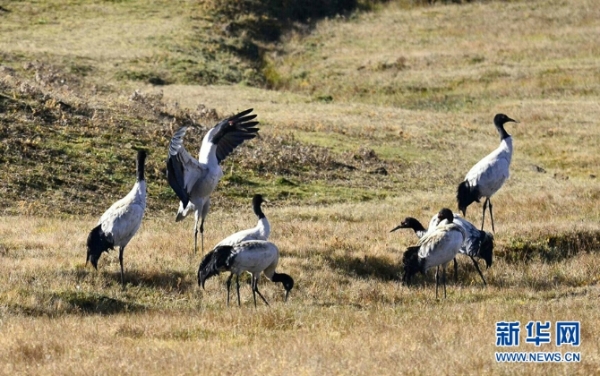 674352_670x670 674352_670x670