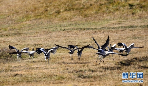 674353_670x670 674353_670x670