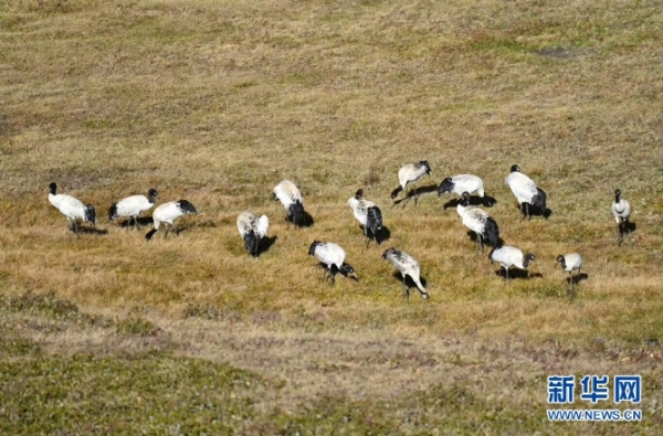 674354_670x670 674354_670x670