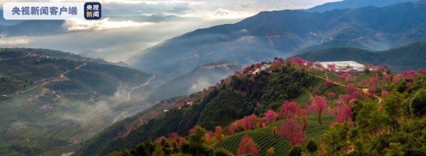 684320_670x670 684320_670x670