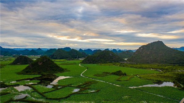 139568230_16072643210871n_副本