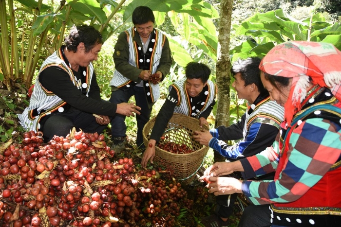 139698623_16116433138661n 139698623_16116433138661n