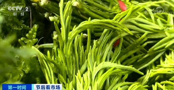 20210222080338T1QBJH