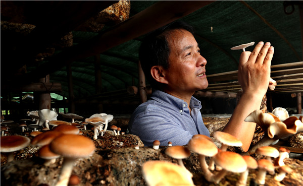 603c3beaa31024adbdb6fdd6