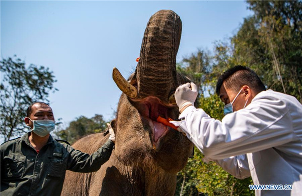 139792474_16151275329211n_副本 139792474_16151275329211n_副本