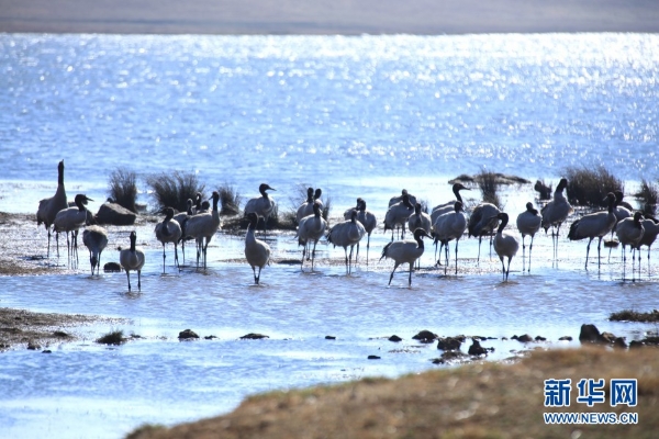 139831298_16165464091541n