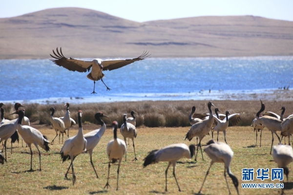 139831298_16165464092841n