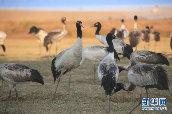 139831298_16165464094041n