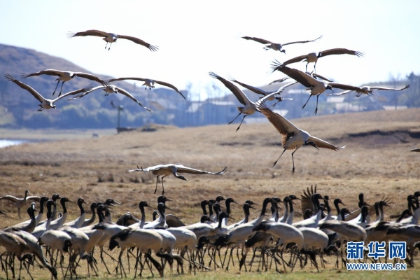 139831298_16165464095471n