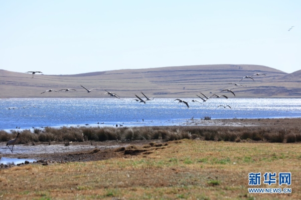 139831298_16165464096741n