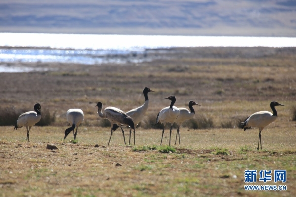 139831298_16165464098101n