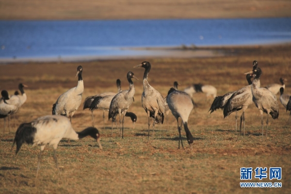 139831298_16165464099351n