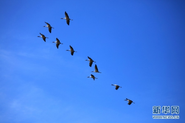 139831298_16165464100581n