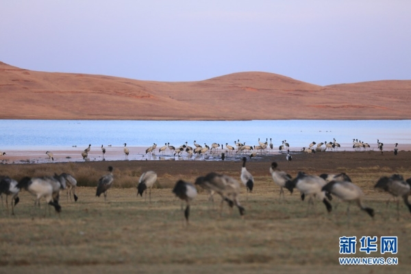 139831298_16165464101711n