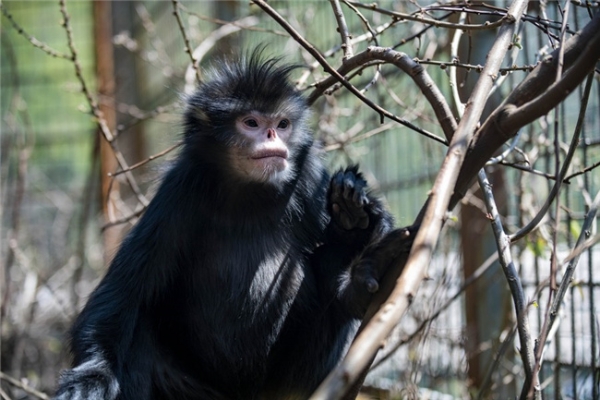 139844473_16170128755941n_副本 139844473_16170128755941n_副本