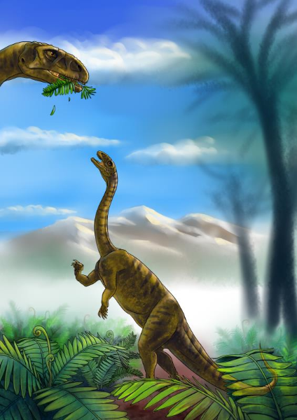 139928707_16203054891331n