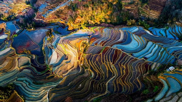 60e65a50e4b0f33f151582fc 60e65a50e4b0f33f151582fc