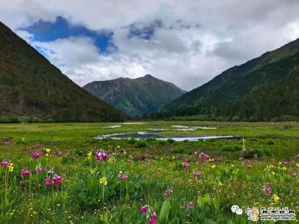 a2c3bc80-98a3-464e-bfb5-142039606d20_batchwm