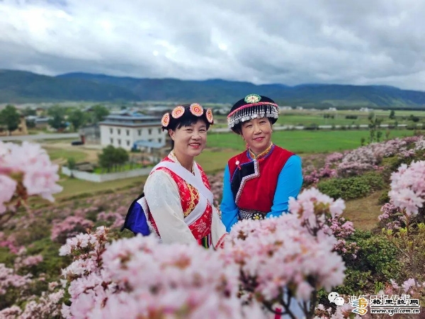 1dd88872-e94b-4ccc-9972-89f8855c83b5_batchwm