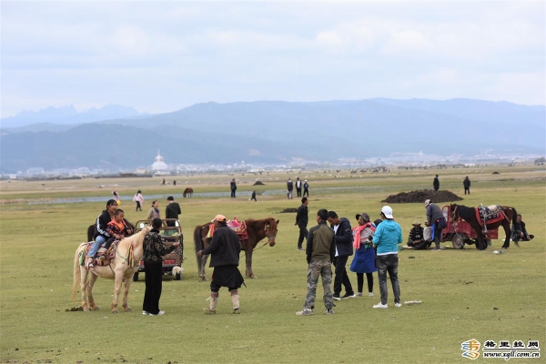 9b251142-bfa9-4a1e-9057-76b8de3135b6_batchwm 9b251142-bfa9-4a1e-9057-76b8de3135b6_batchwm