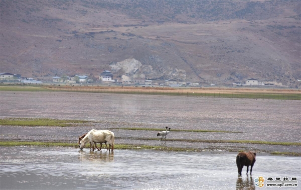 60e0a0ee-ceb2-4443-9991-59c77453f4d1_batchwm 60e0a0ee-ceb2-4443-9991-59c77453f4d1_batchwm